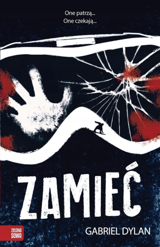 zamieć.png