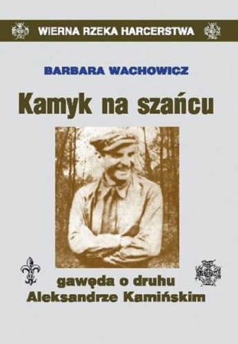 kamyk na szańcu.jpg