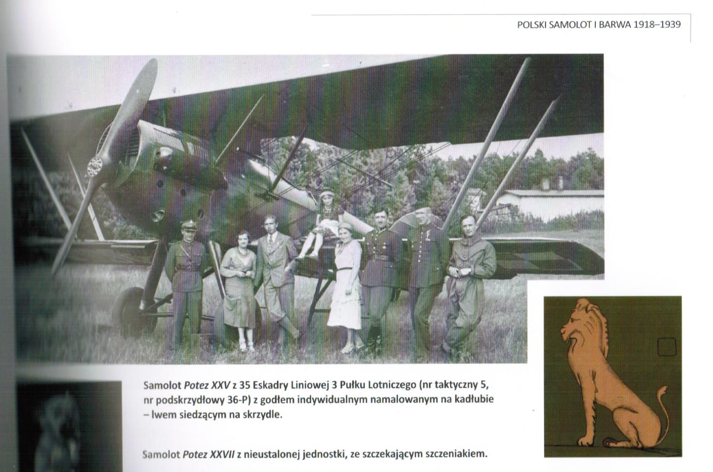 POLSKI SAMOLOT I BARWA 1918-1939 - CZY ZOSTANIE LOTNICZYM BESTSELLEREM?